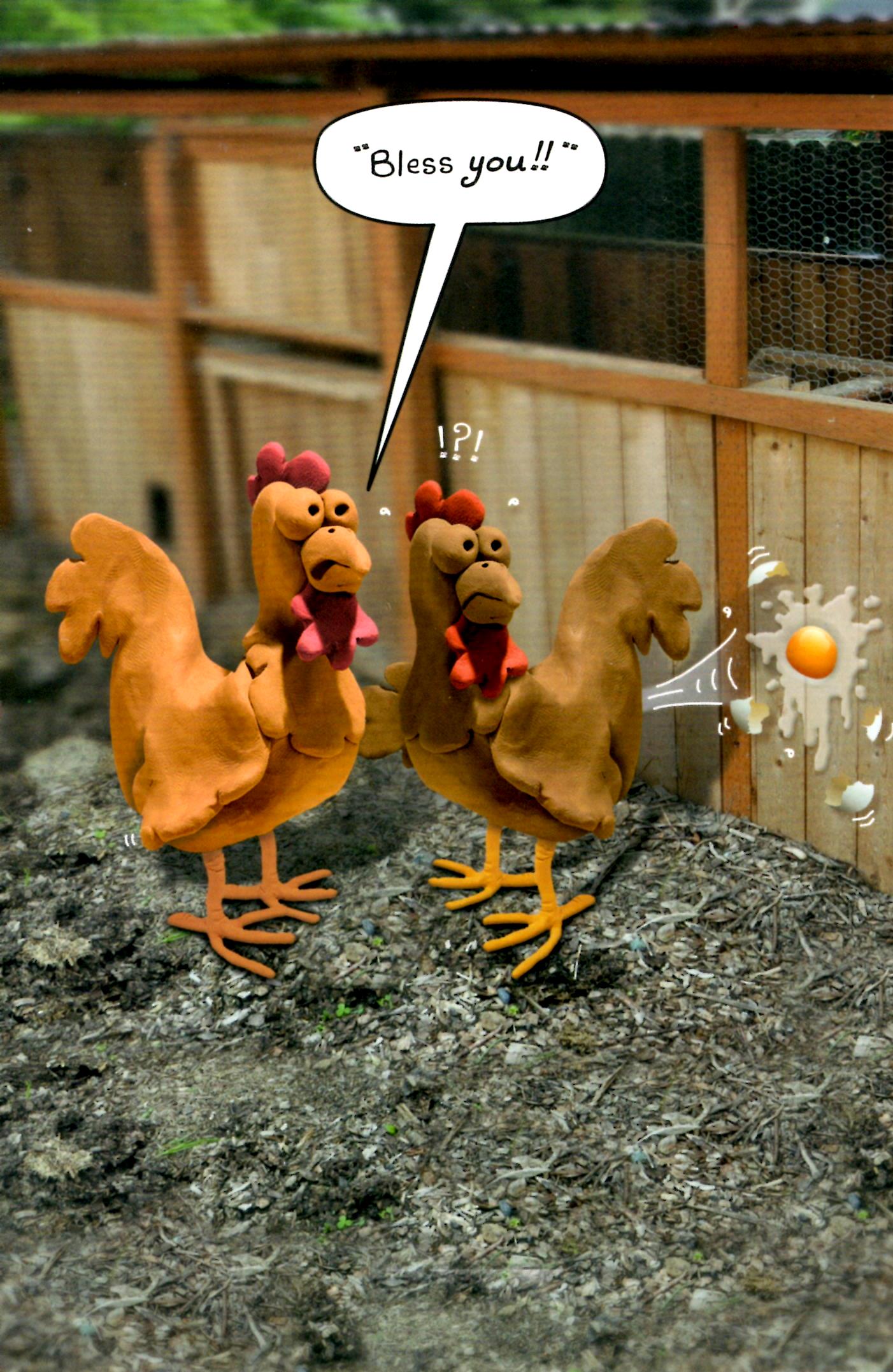 Download 30 Funny Chicken Iphone Wallpaper Gambar Terbaik - Posts.id
