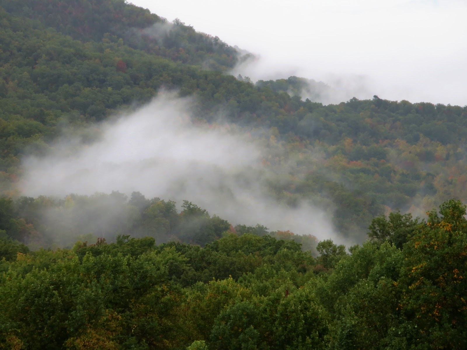 Fog In Smoky Mountains Wallpapers High Quality | Download Free