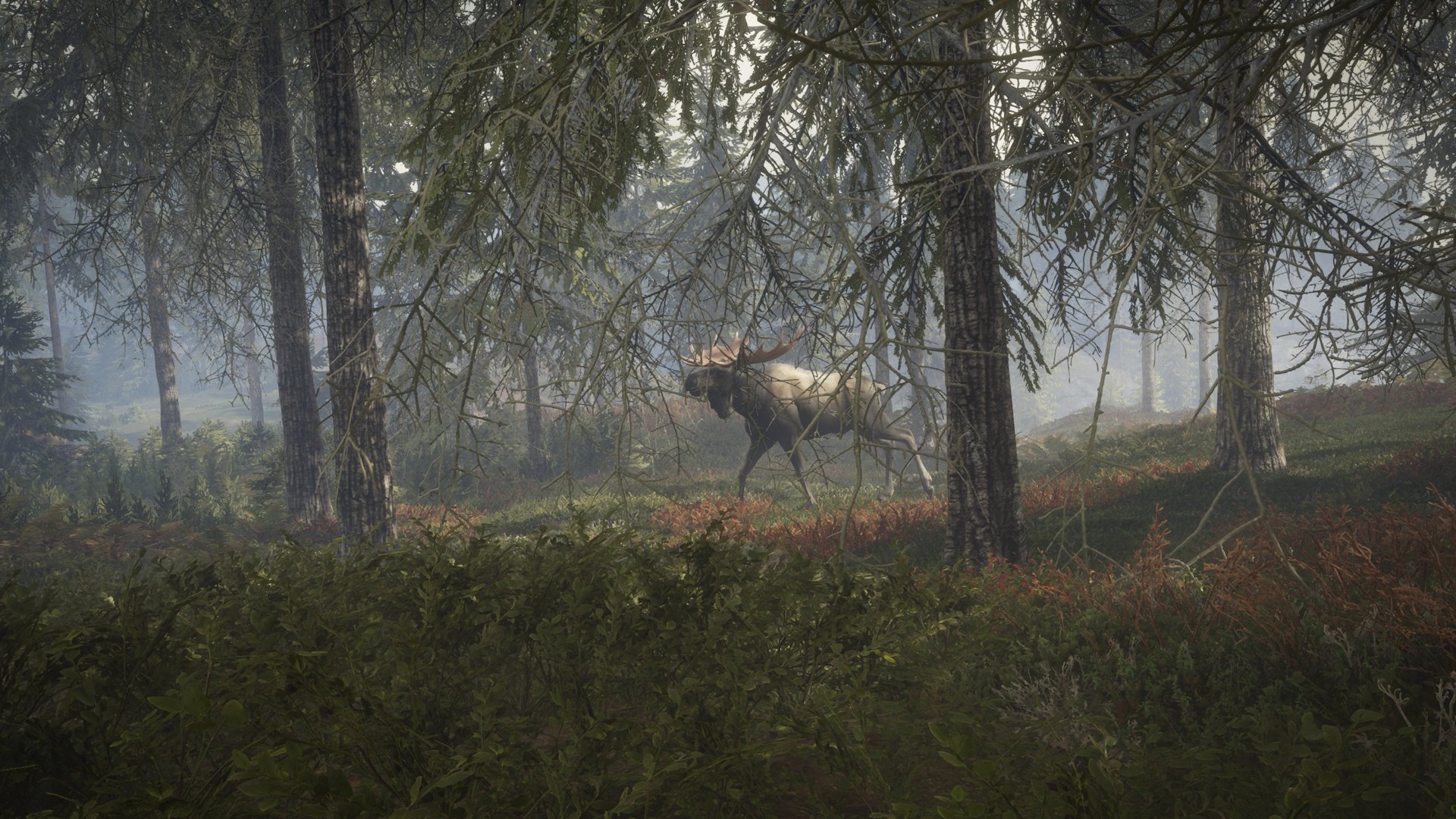 the hunter call of the wild pc