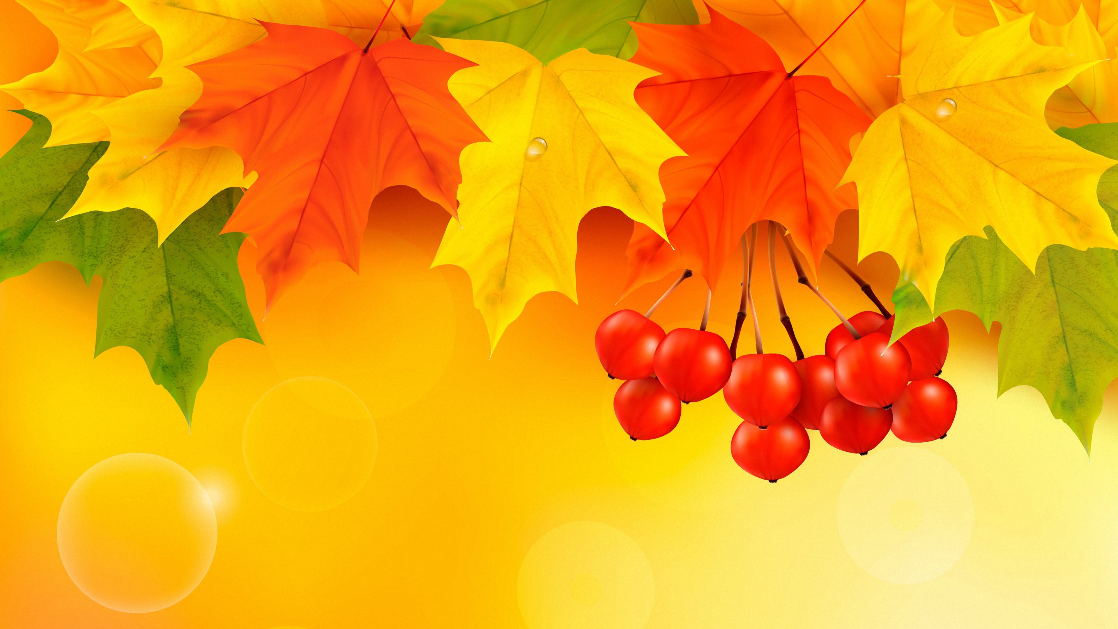 4K Colorful Leaves Wallpapers High Quality | Download Free