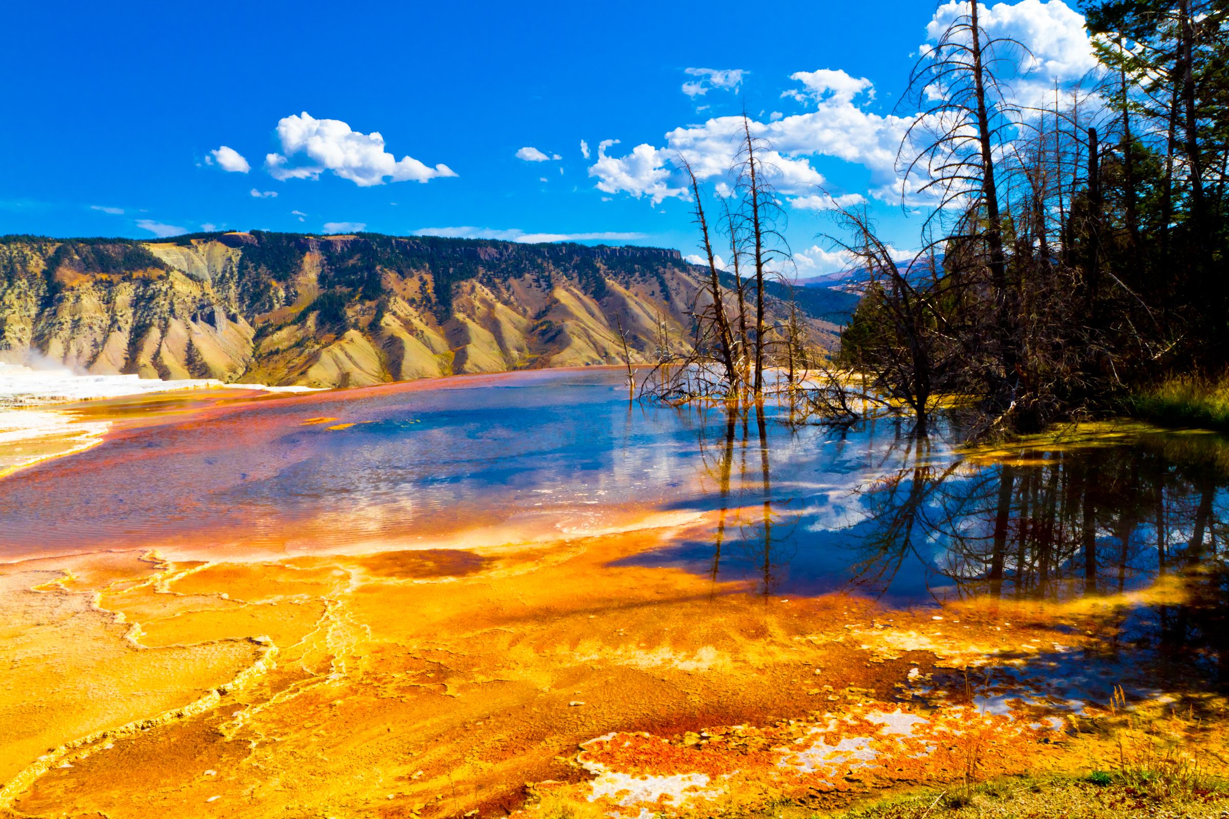 4K Yellowstone Wallpapers High Quality | Download Free