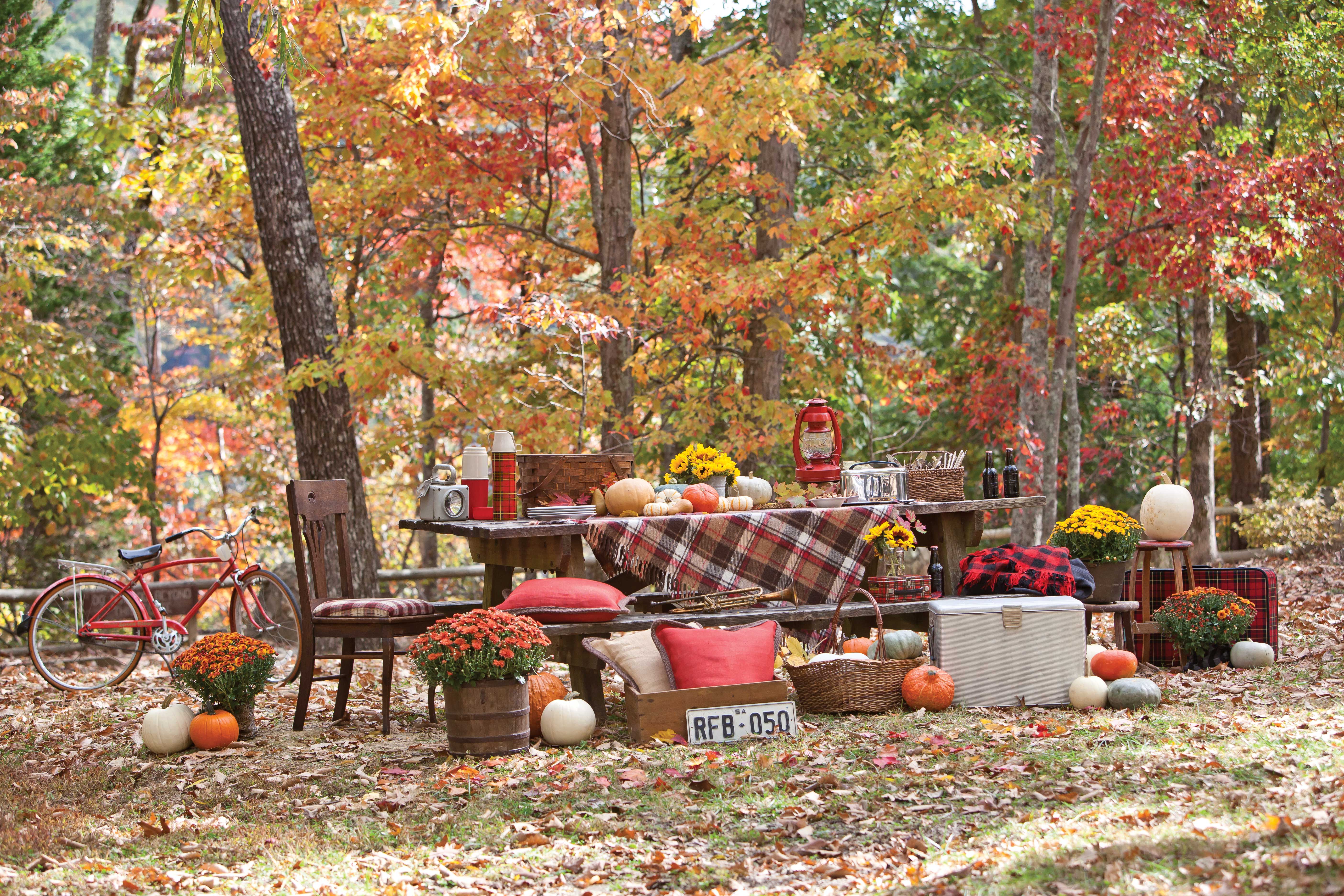 Autumn Picnic Wallpapers High Quality | Download Free