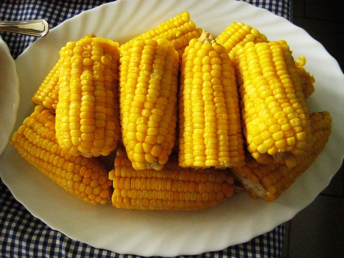 Corn на русском. Вареная кукуруза. Кукуруза початок. Кукуруза отварная. Кукуруза отварная в початках.