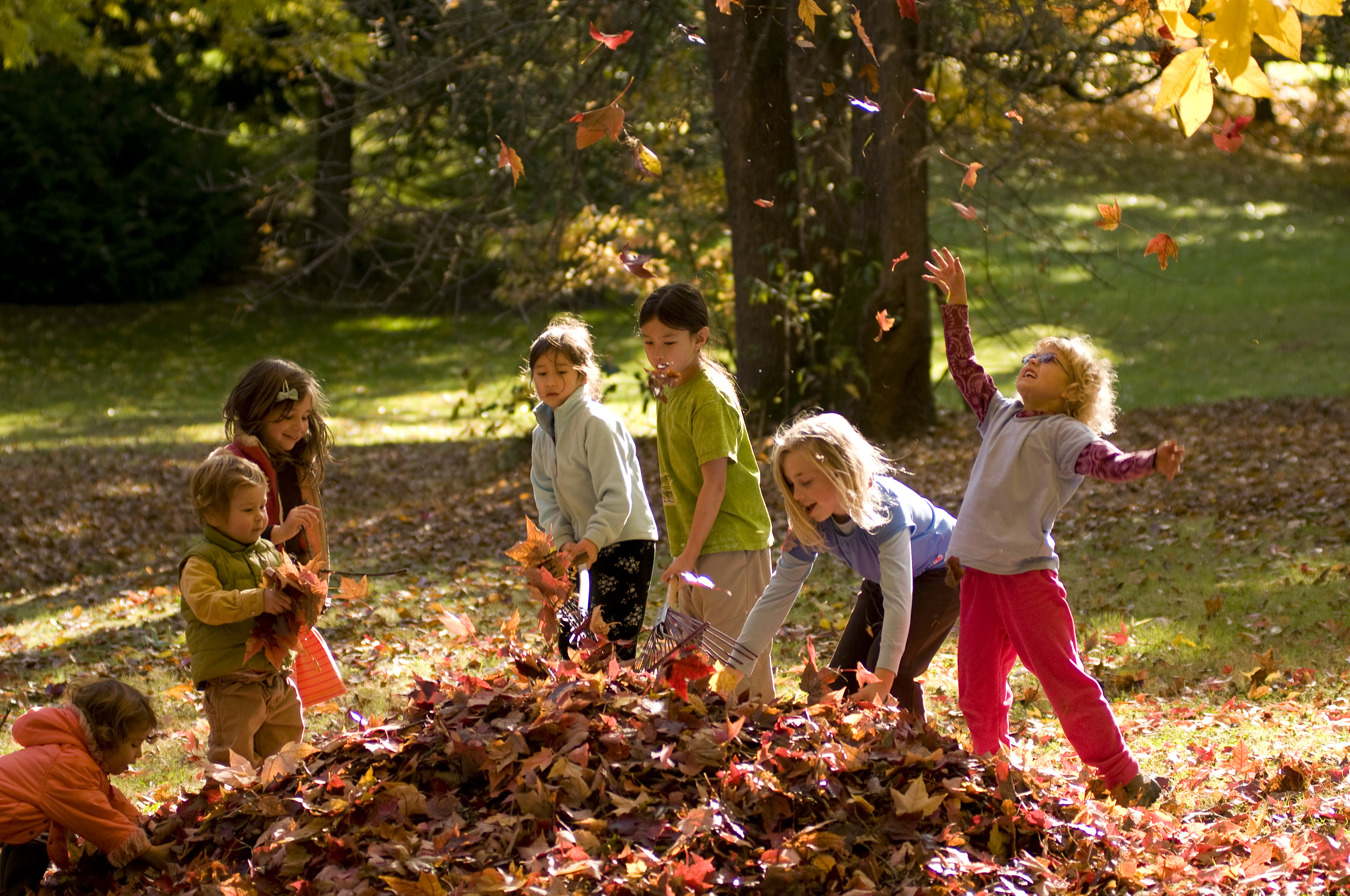Nature play. Прогулки на свежем воздухе. Прогулки на свежем воздухе для детей. Дети на прогулке. Игры летом и осенью.
