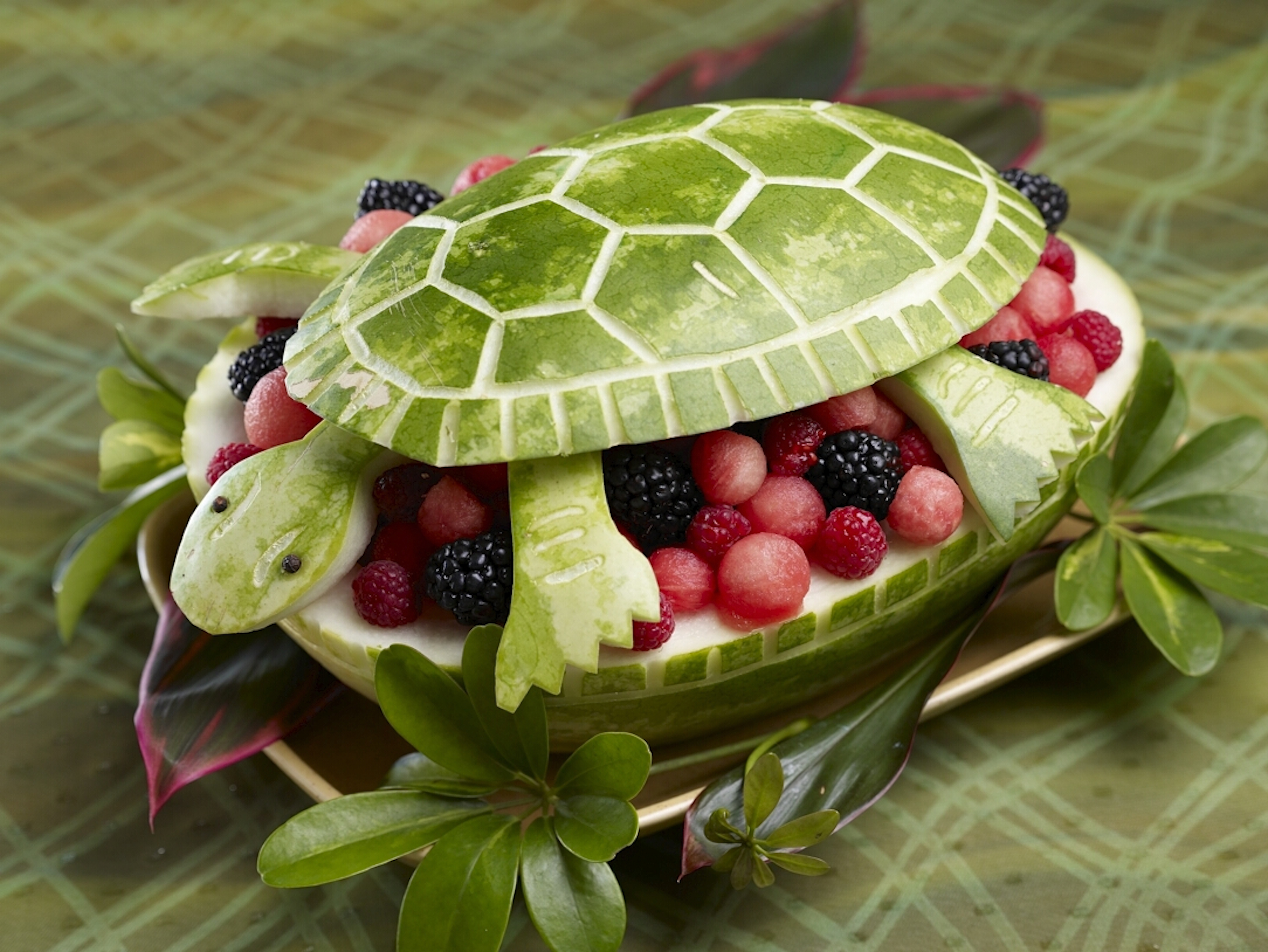 Овощ черепаха