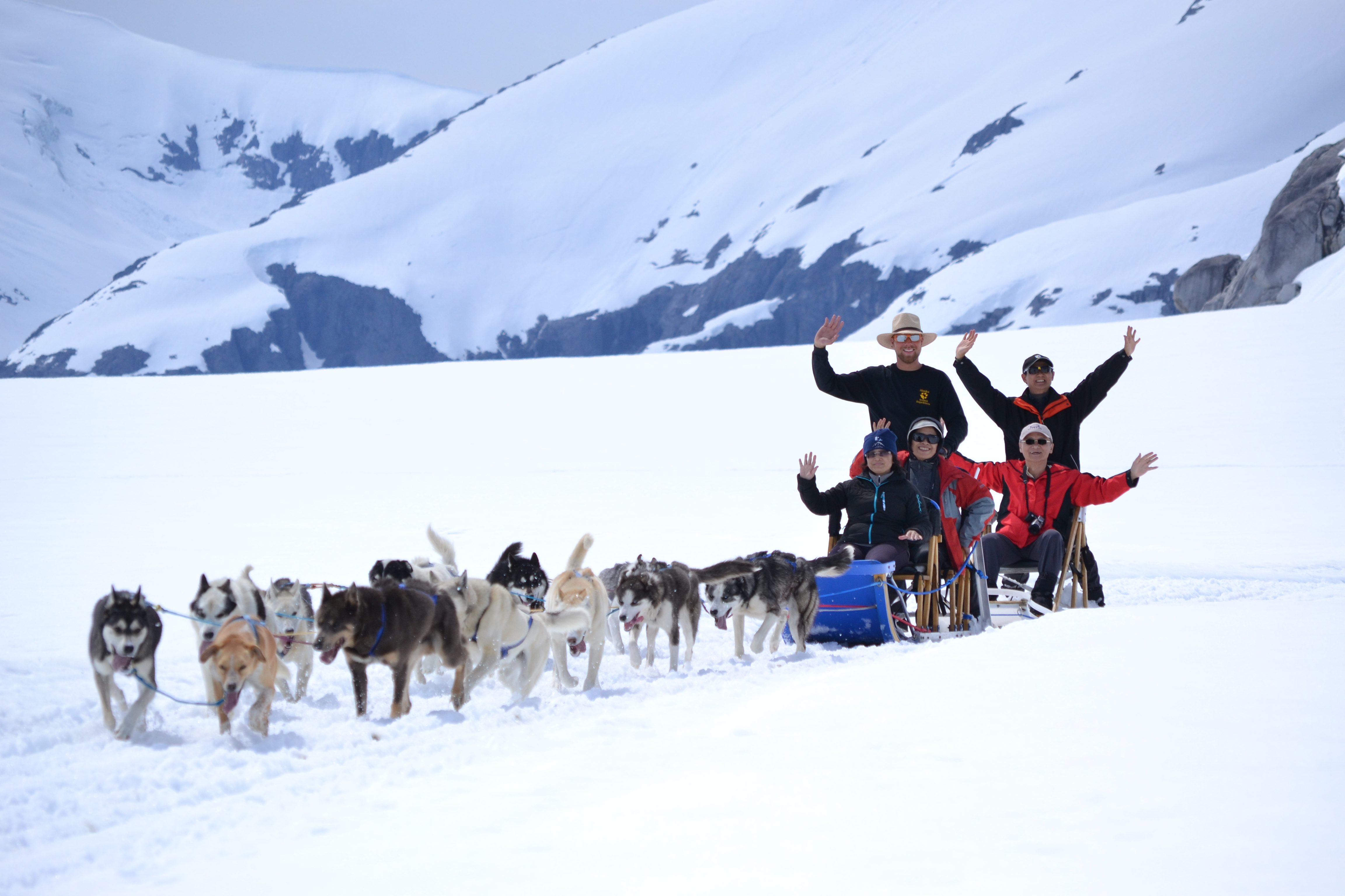 Северные развлечения. Аляска Iditarod. Dog sledding in Alaska. Аляска упряжка. Собачья упряжка.