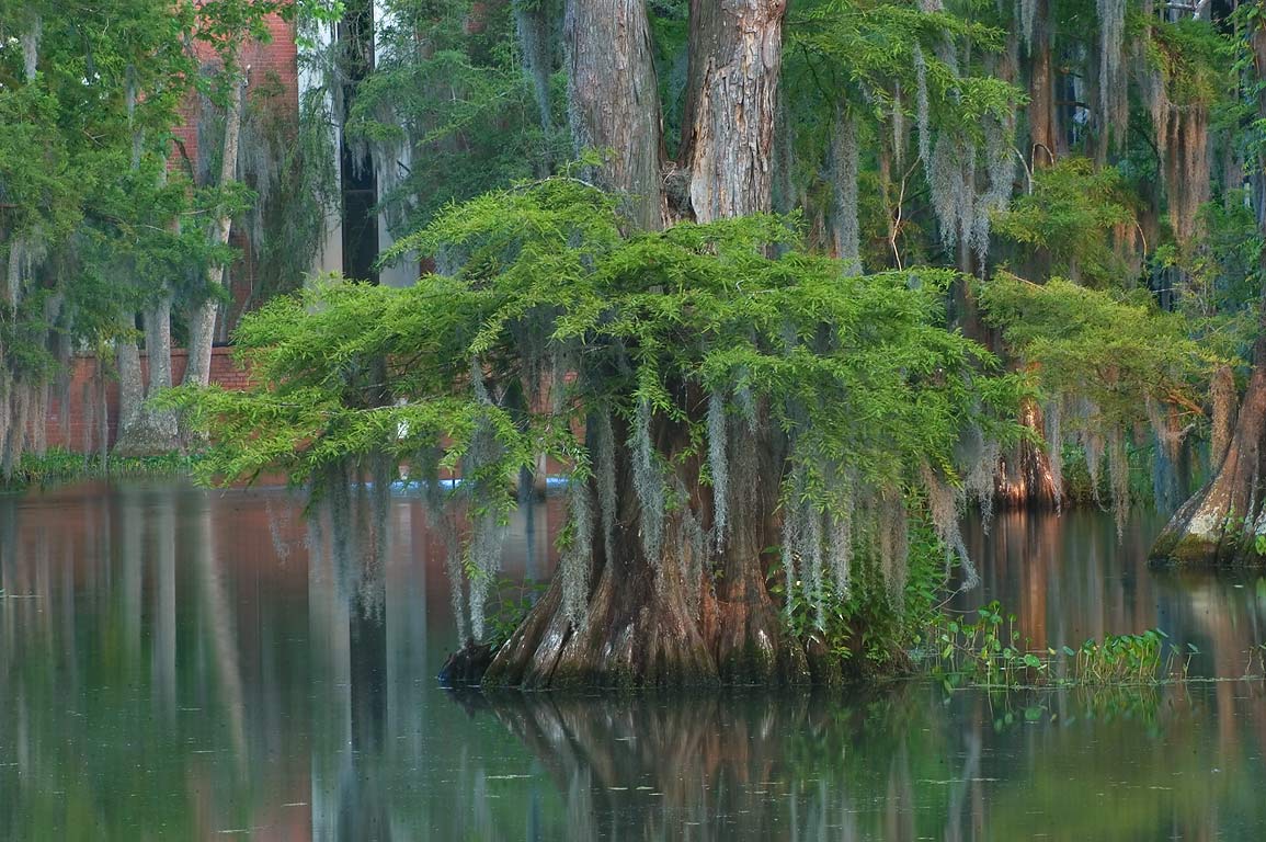 Луизиана