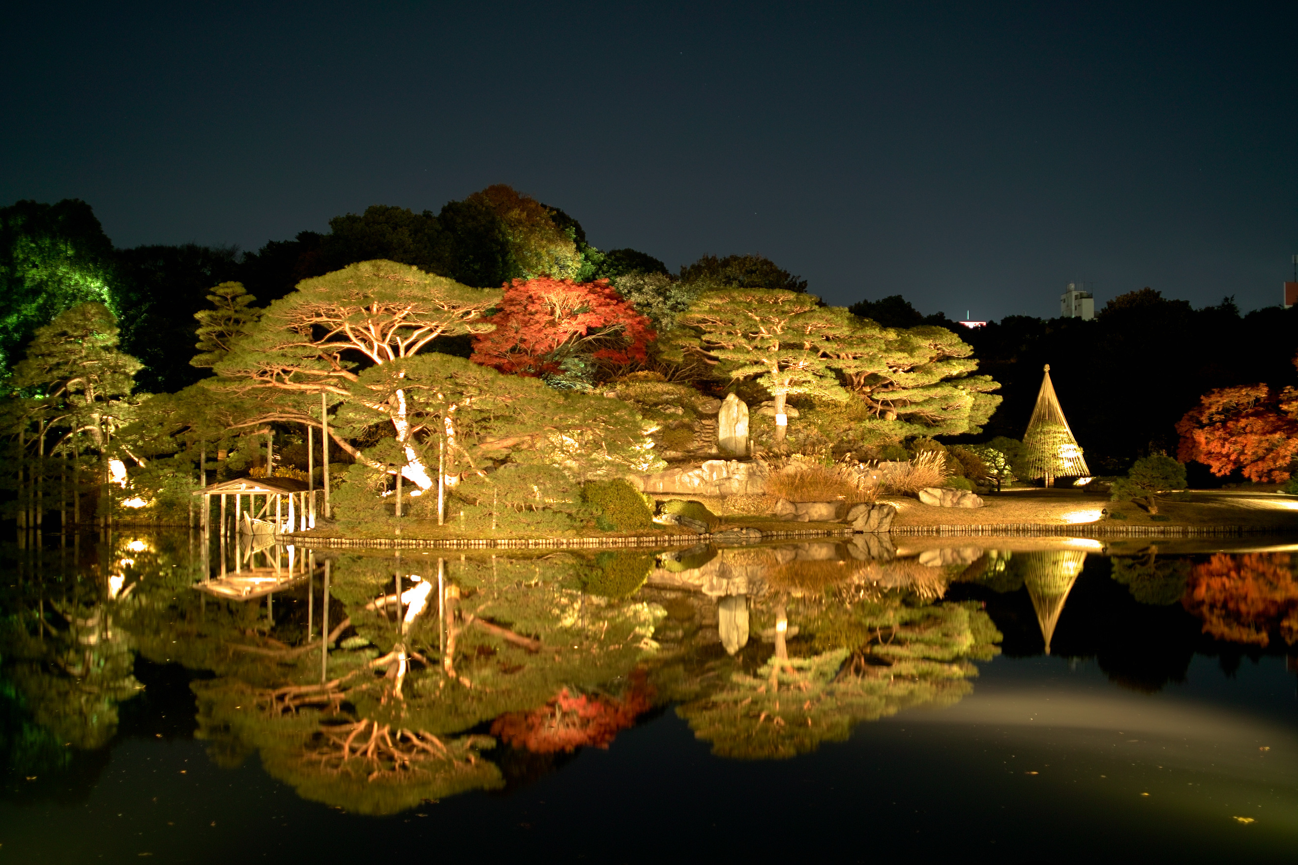 Легендарный сад. Парк Рикугиен, Токио, Япония. Сад Рикугиэн Токио. Традиционный парк Рикугиэн. Токио. Парк Рикугиэн. Камни.