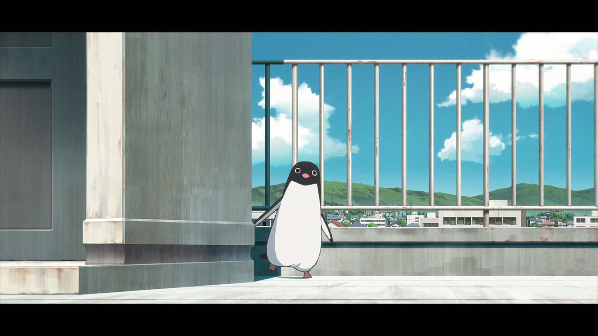 Тайная жизнь пингвинов мультфильм