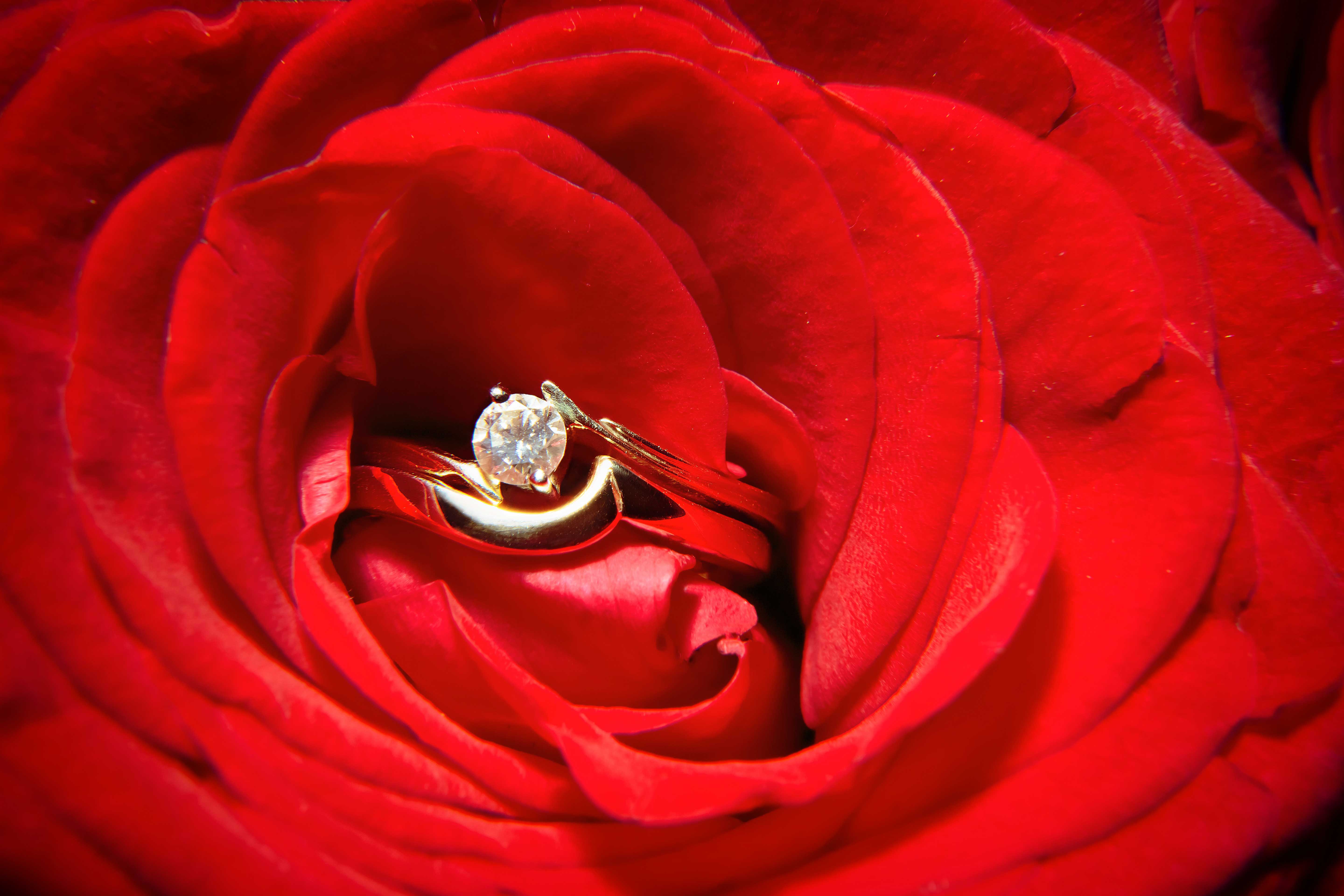 Фото кольца и цветов. Розы и колечко. Кольцо цветы. Букет цветов с кольцом.