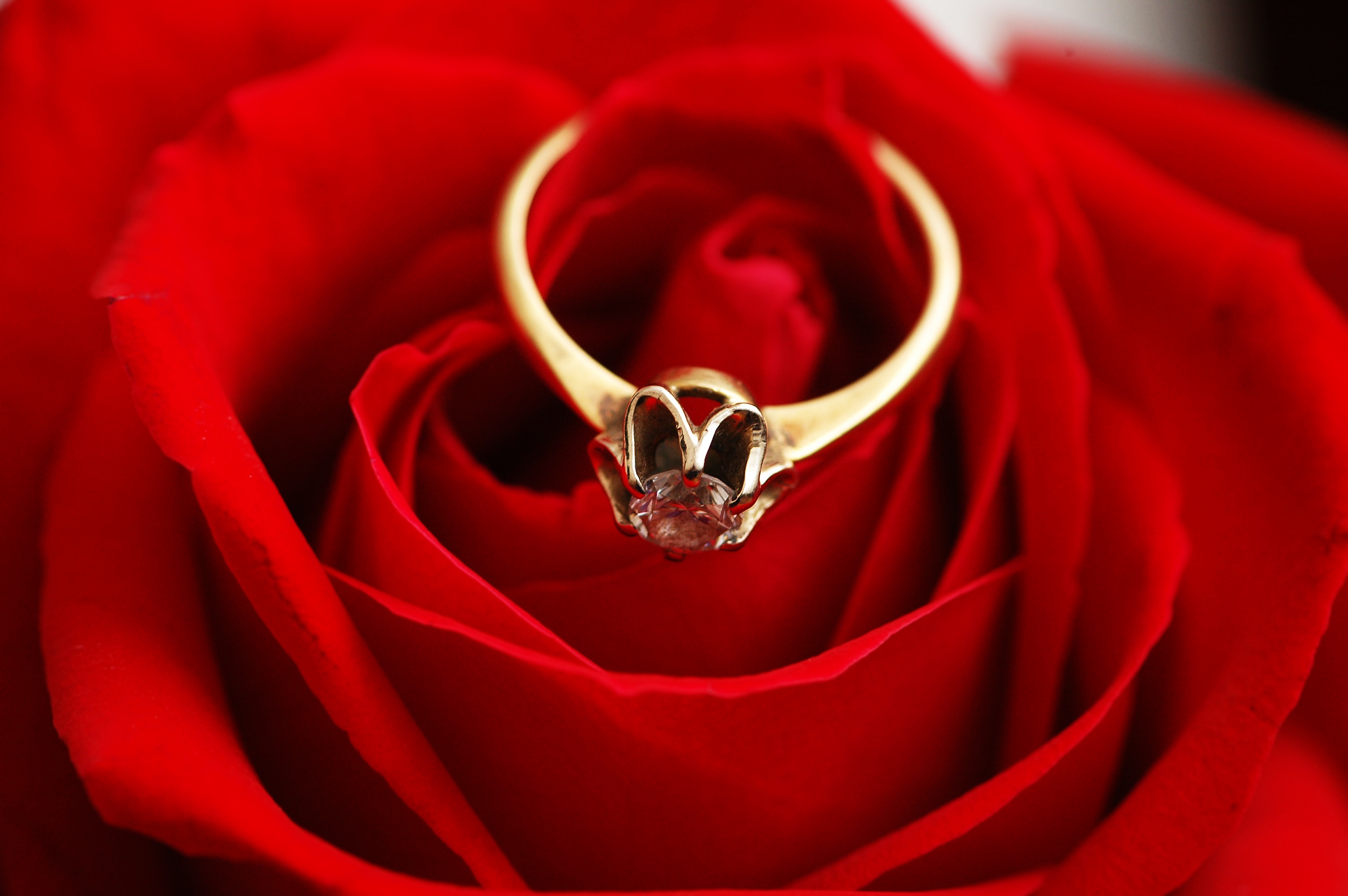 Фото кольца и цветов. Кольцо цветы. Ювелирные украшения на Красном фоне.