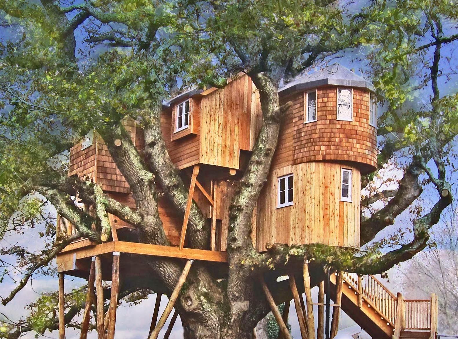 Домик на дереве votv. Алникский дом на дереве. Tree House Кишинев. Отель Treehouse домики на деревьях. Необычные домики.