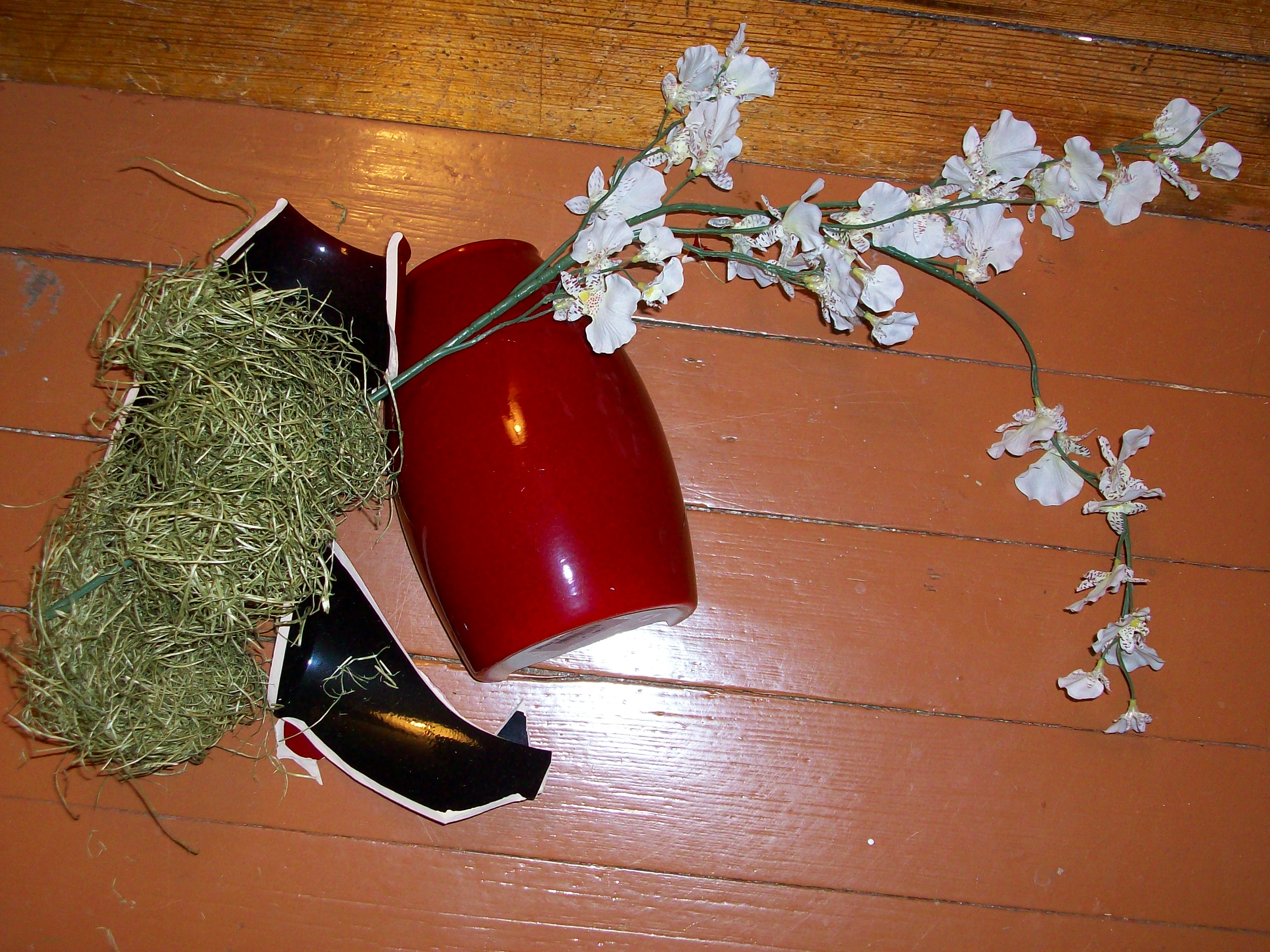 Почему разбитая ваза. Разбитая ваза. Разбитый горшок. Разбитые цветочные горшки с цветами. Разбитый цветочный горшок.