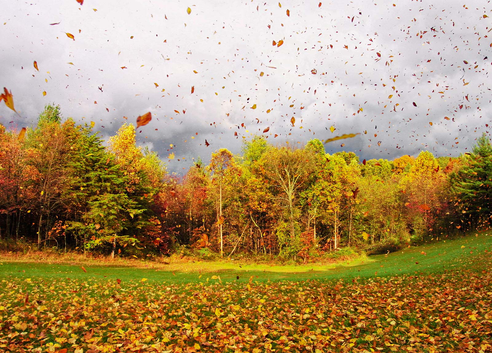 Осенний Ветер Фото — Красивое Фото