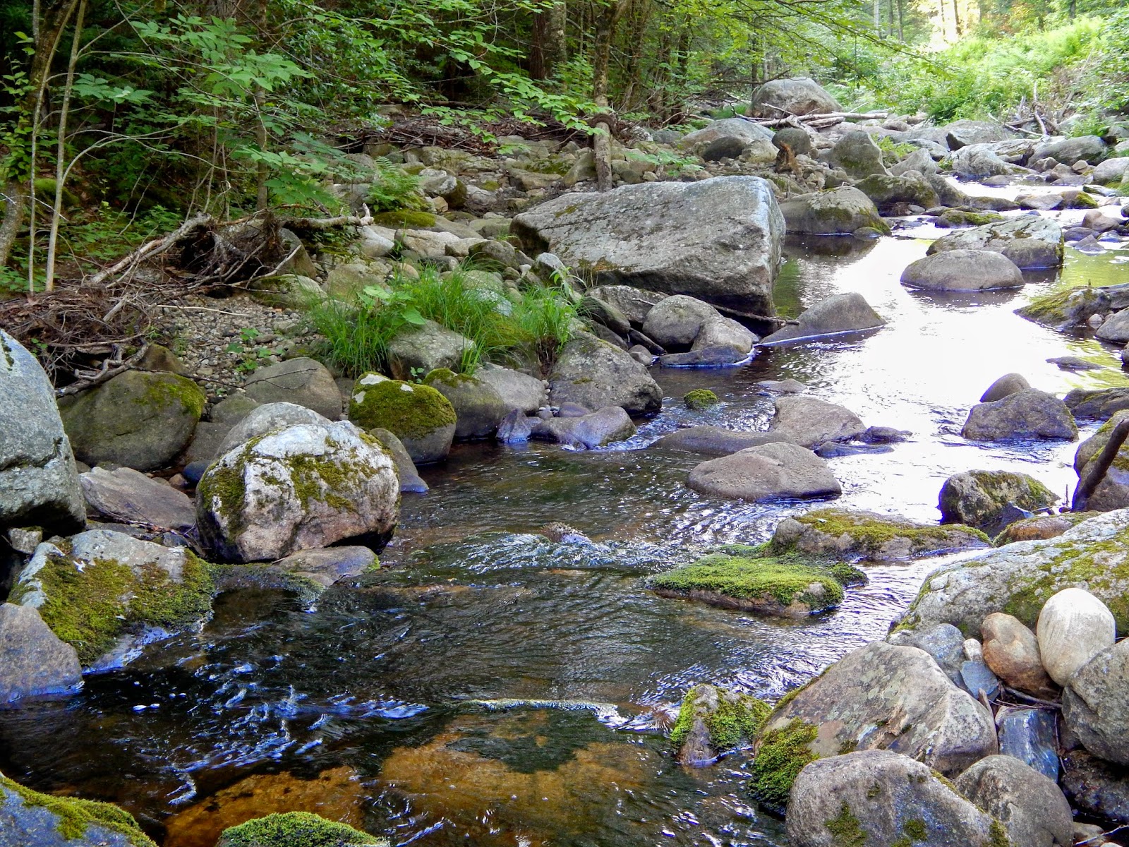 Short stream. Ручей в горах. Холодный ручей горы. Small Stream. Shallow Stream.