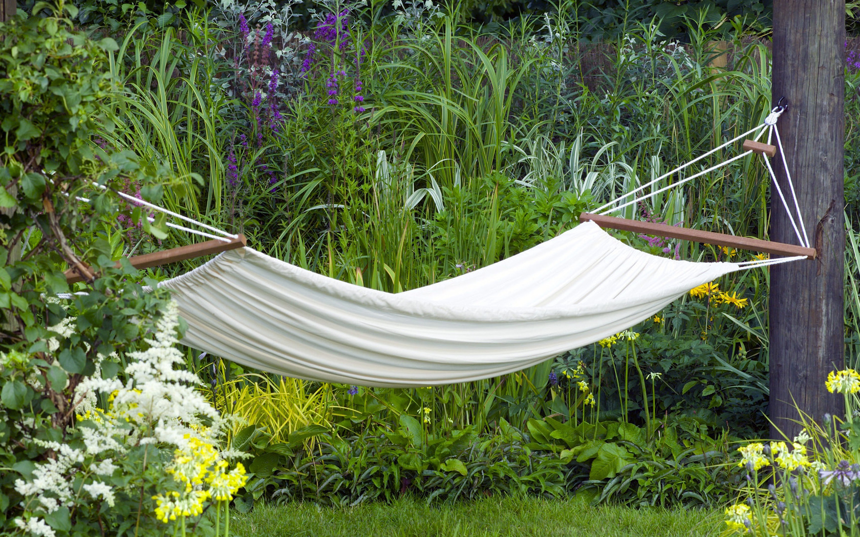 Hammock In The Forest Wallpapers High Quality | Download Free