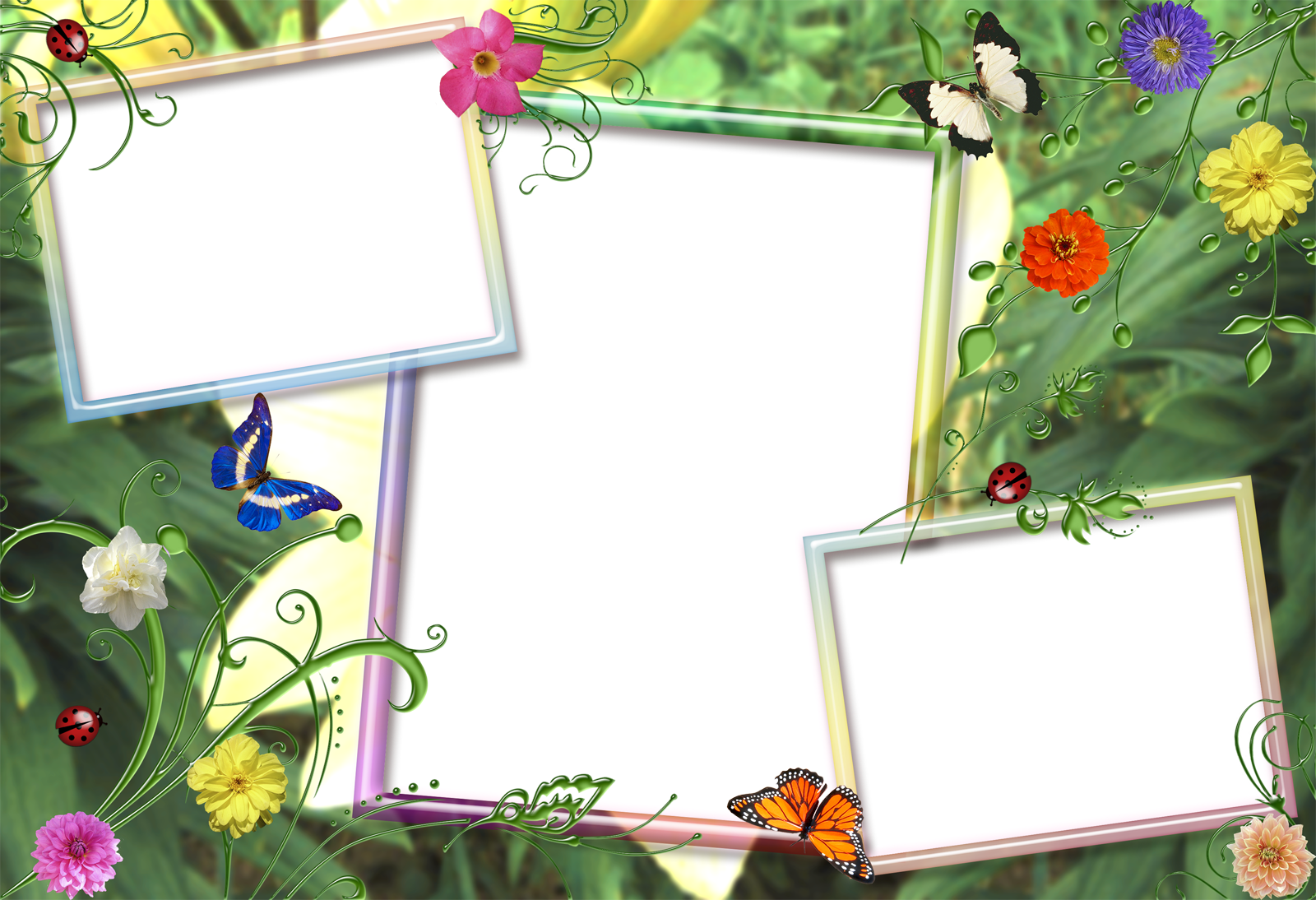 Nature Photo Frame Wallpapers High Quality | Download Free