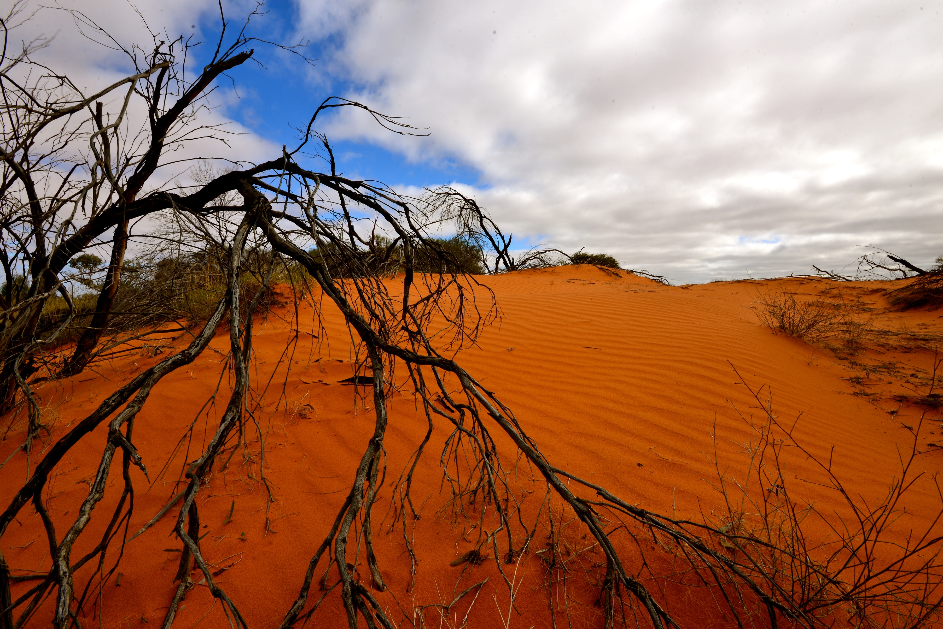 Пустыня гибсона австралия