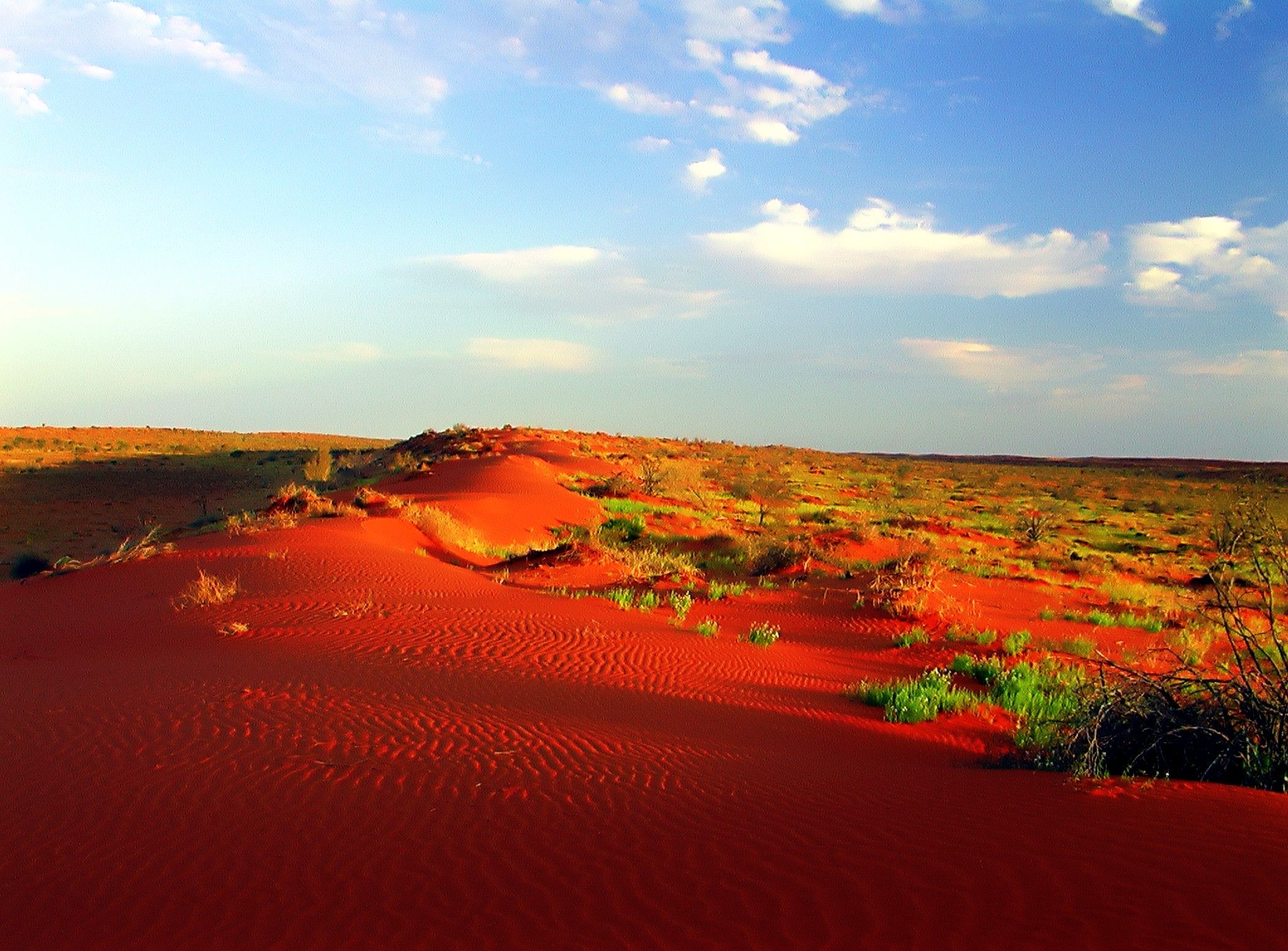 Пустыня гибсона австралия. Симпсон Дезерт национальный парк Австралии. Заповедник Танами Дезерт Австралия.