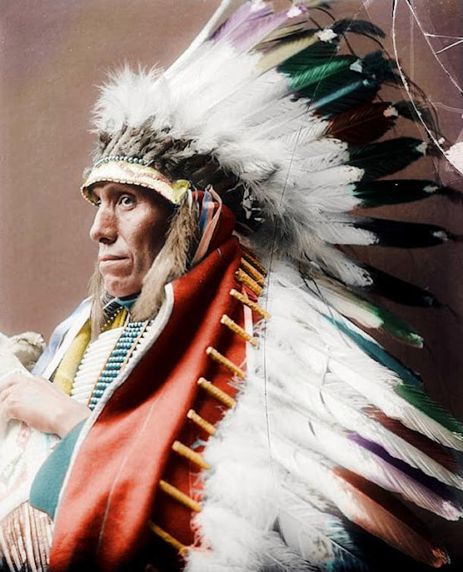 Indian tribes. Племя Сиу индейцы. Индейцы Северной Америки Сиу. Вождь индейцев Сиу. Краснокожие индейцы.