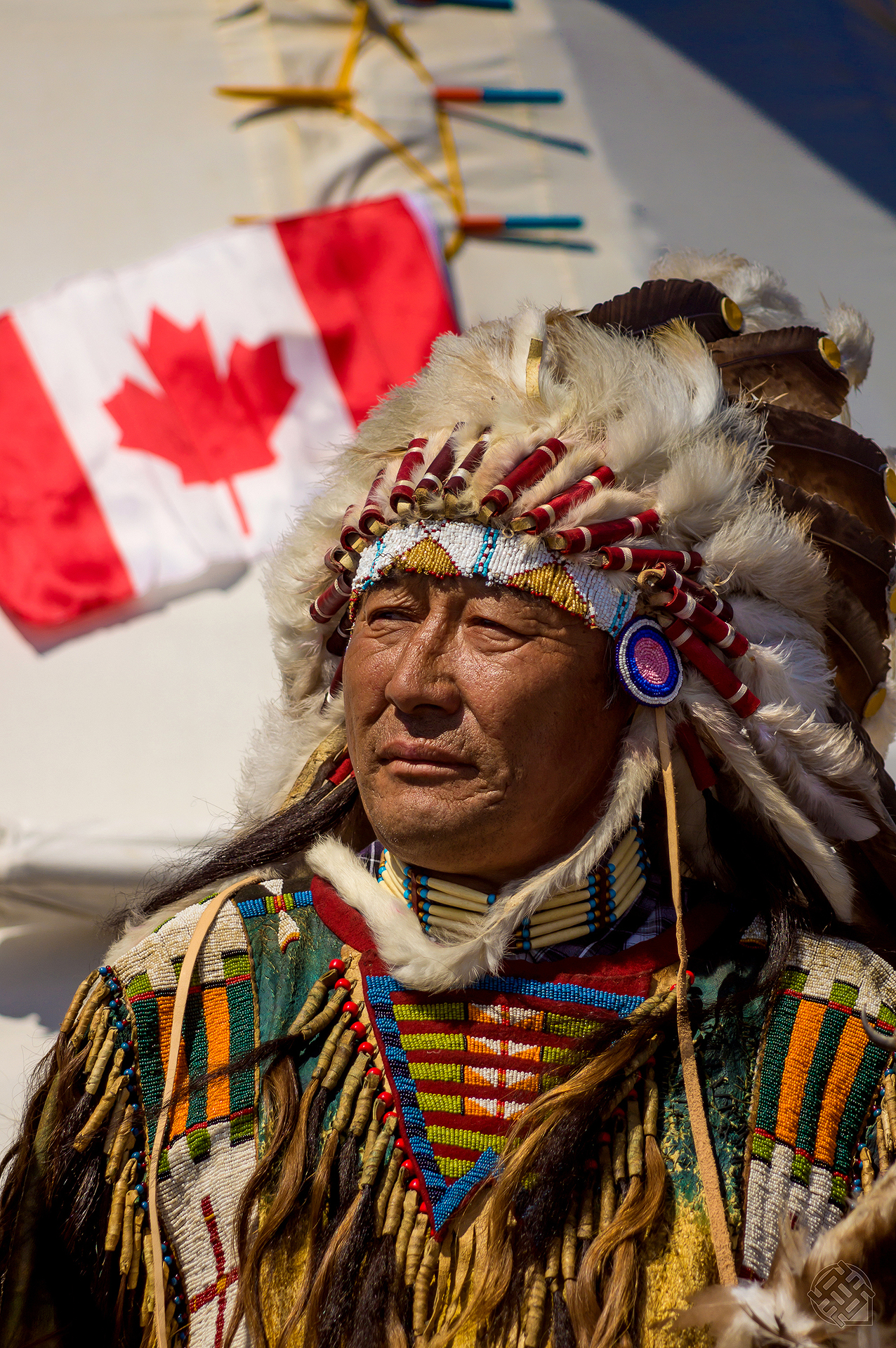 Какие народы коренные в северной америке. Могикане индейцы Северной Америки. Индейцы Канады народы Канады. Индейцы Северной Америки оджибве. Коренное население Канады индейцы и Эскимосы.